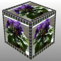 Fialky v kostce...  Violets in a cube ...