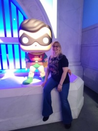 Hollywood Funko Store. Robin with Robin