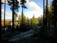 Photo0324