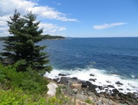Maine coast in Acadia