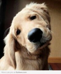 AAAWWW LOOK AT THAT CUTE FACE...