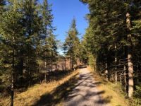 Sunday afternoon walk