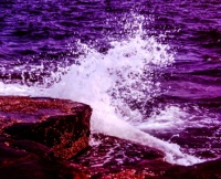 Acadia-Schoodic