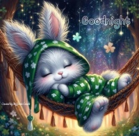 Good Night
