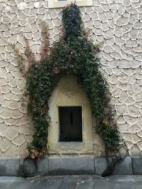 Vine-covered doorway Toledo Spain