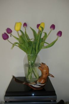 Floral Display - Tulips April 2013 no.1