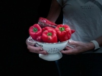 red peppers