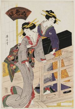 Women with a Shamisen Case