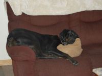 Isn't This the Way You Are Supposed to Crash on the Couch?