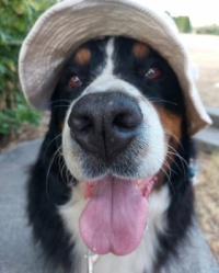 On a hot Summer day you better wear your hat!