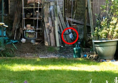 Answer to yesterday's "find-em".  Can you see the white kitty now peeking out of the woodpile?