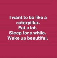 I want to be like a Caterpillar