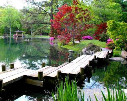 Maymont Park Japanese Garden
