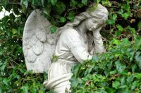 Sleeping Angel