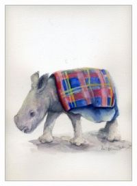 Maarifa tiny newborn rhino