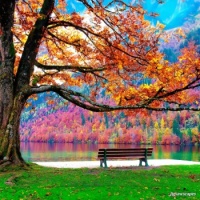Take a breath . . . . .