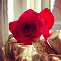 Wine and Rose