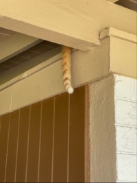 Only Samson’s tail was showing when we pulled up to the carport.