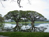 sri lanka