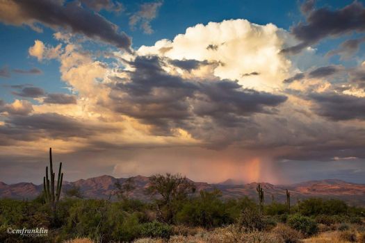 Solve Rainy day in the desert jigsaw puzzle online with 425 pieces