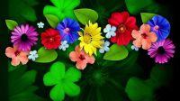 Colourful Flowers