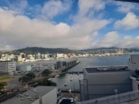 Wellington by Day - Hotel window pic