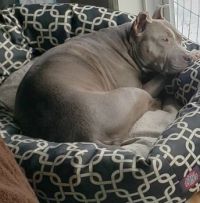 Baby loves her window watching