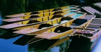 Punts on the River Cam, England