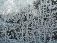 Ice flowers