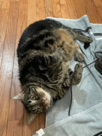Walter