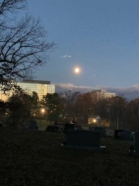 Moon over the office buildings