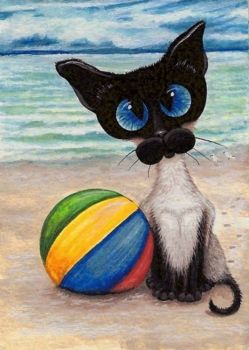 beachcat