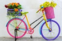 Colorful Bicycle