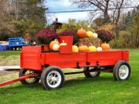 Fall display