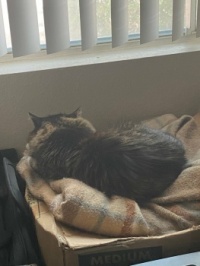 Go away; I'm tired