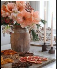 Dried citrus fruit and flowers