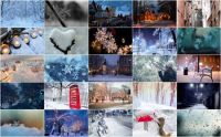Winter Wonderland