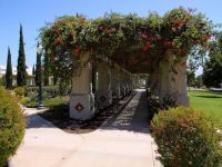 Balboa Park Activity Center Gardens, San Diego