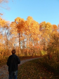 Autumn Walk