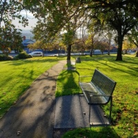 Shadows on a park bench