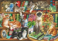 Cats and Books #2