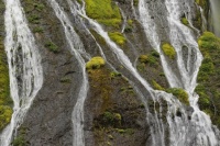 Panther Creek Falls
