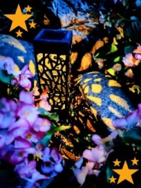 🌙Night 🌟 in the garden🌙