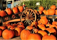 &quot;Welcome to 999 Patch Lane&quot;