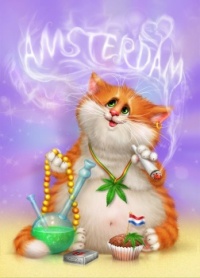 Cannabis cat