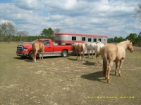 the gang just checking to see if the truck and trailer got washed correctly