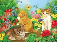  Spring kittens