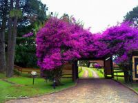 NATUREZA