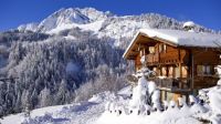 alpine winter 2
