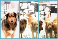 And then there were three!